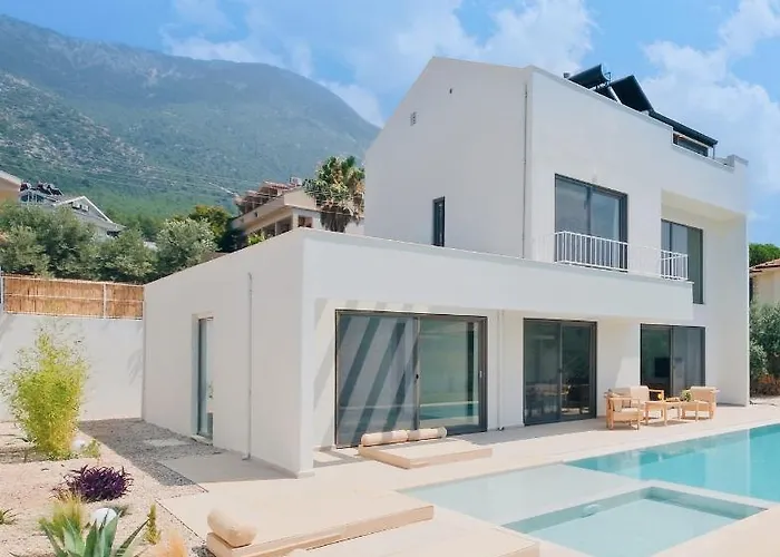 Neo With 2 Private Pools, Bbq, Jacuzzi And Sauna Fethiye